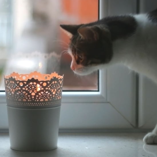 Candle Scents