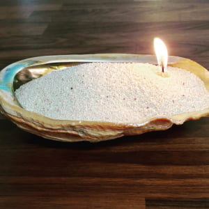 Shell Candle
